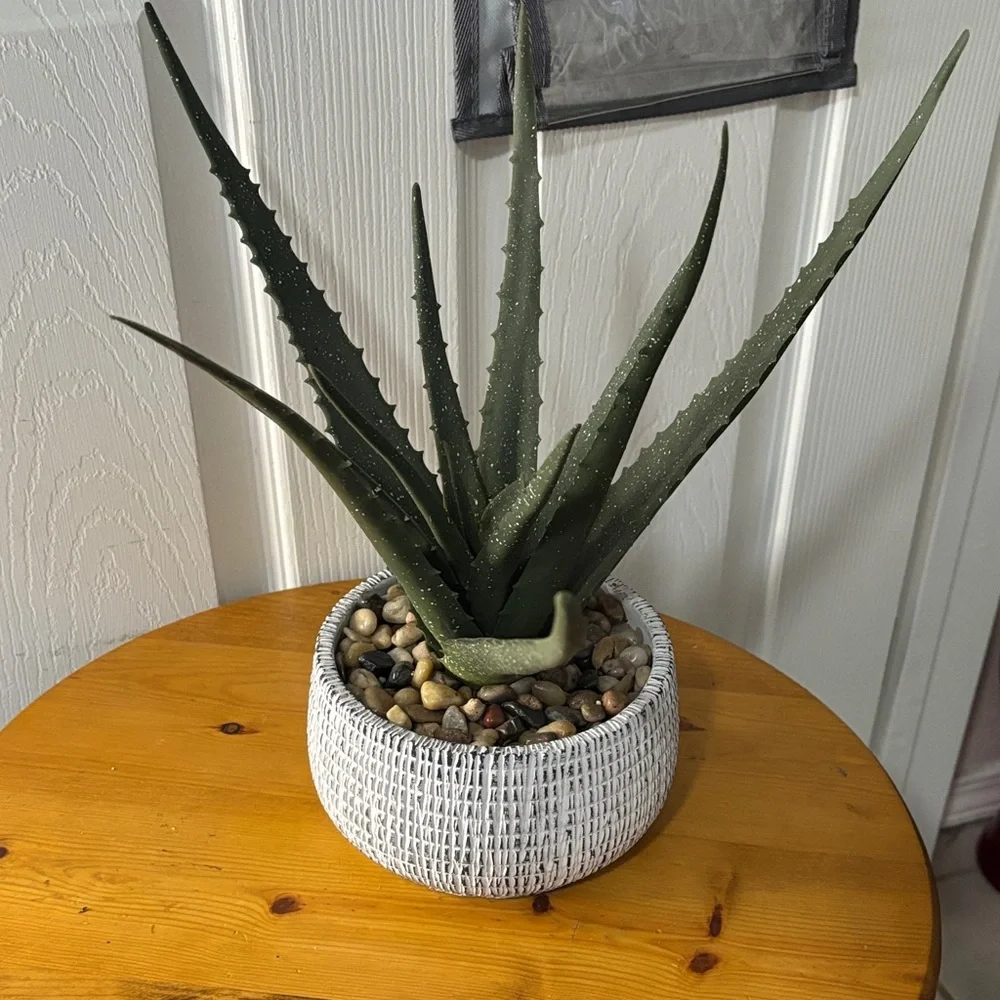 Artificial Aloe Plant in White Woven Clay Pot